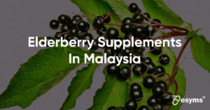 elderberry review malaysia